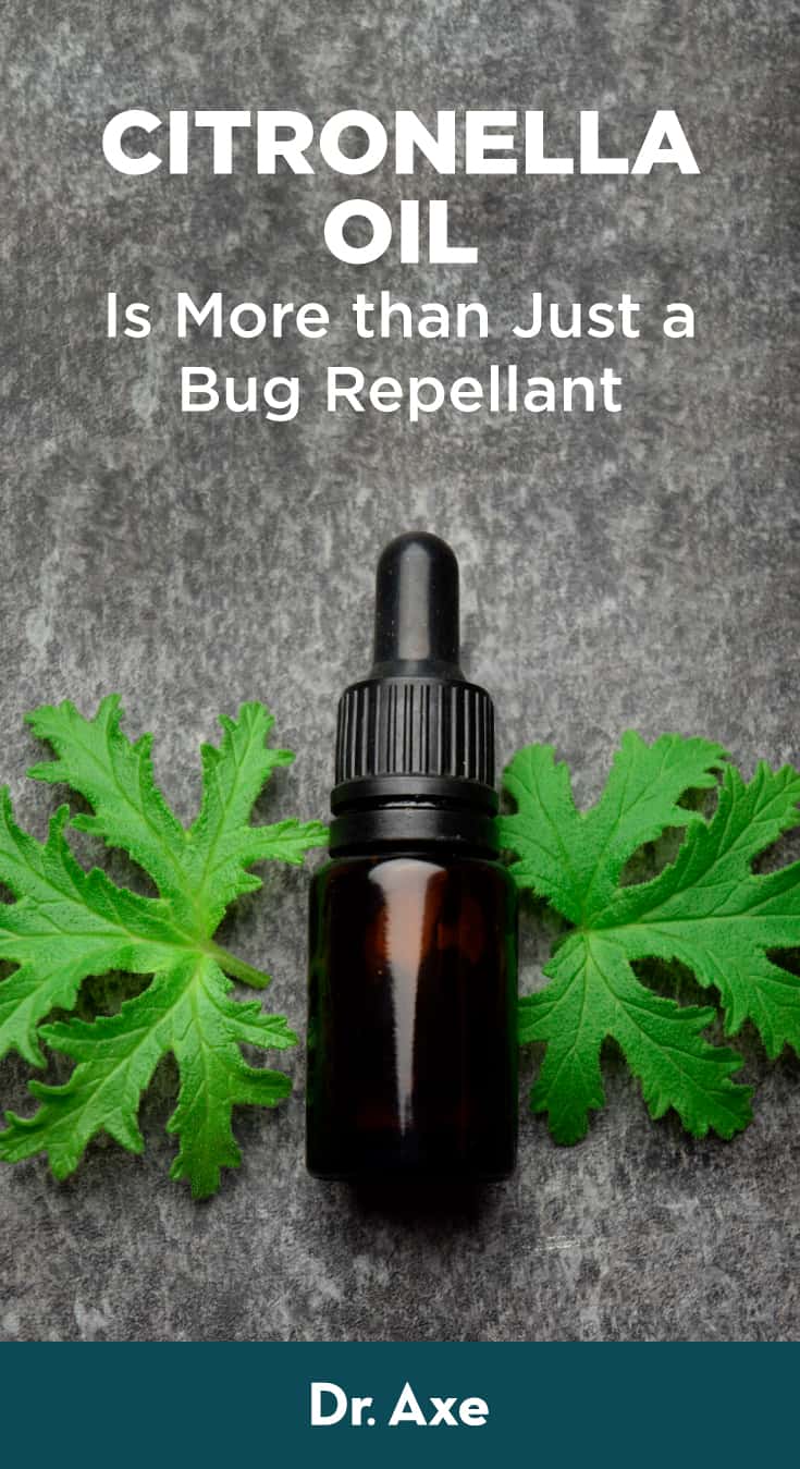 Citronella Oil Benefits, How to Use and Side Effects Dr. Axe