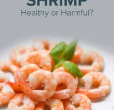 Shrimp nutrition - Dr. Axe