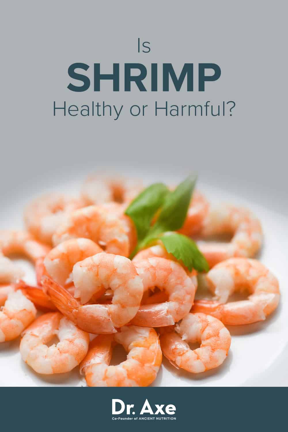 Shrimp Nutrition, Potential Benefits, Risks and Allergy - Dr. Axe