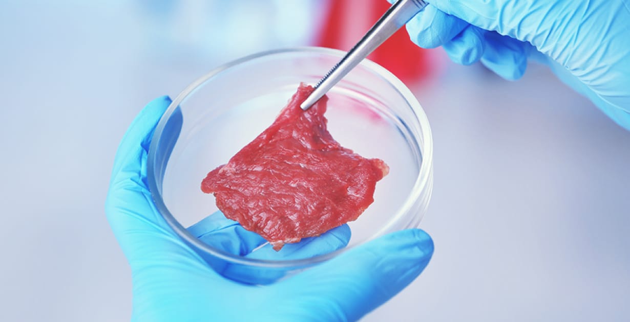 research on lab grown meat