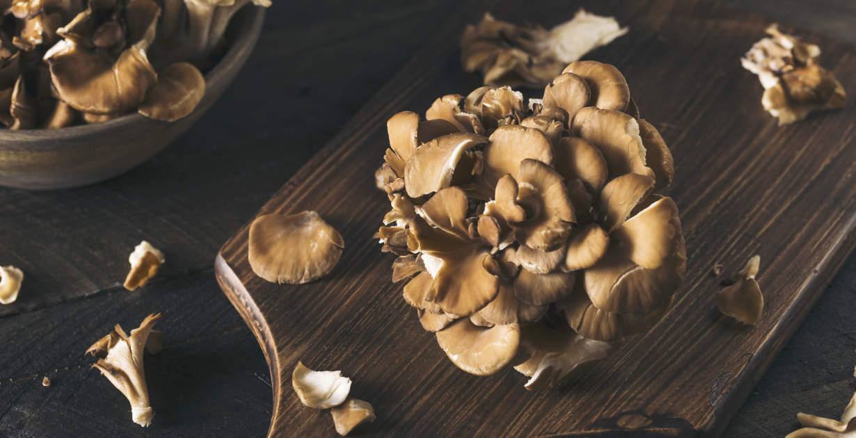 Essential Oils For Hormones >> Maitake Mushroom Benefits, Nutrition, Recipes & More - Dr. Axe Essential Oils For Hormones >> Maitake Mushroom Benefits, Nutrition, Recipes & More - Dr. Axe