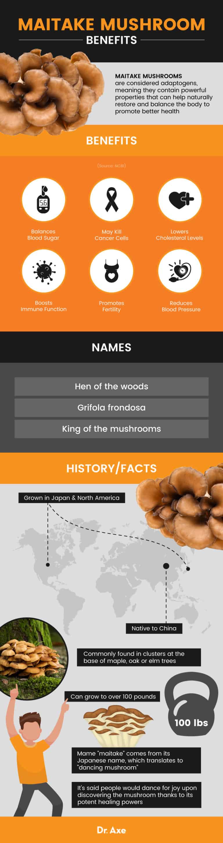 Maitake Mushroom Benefits, Nutrition, Recipes and More Dr. Axe