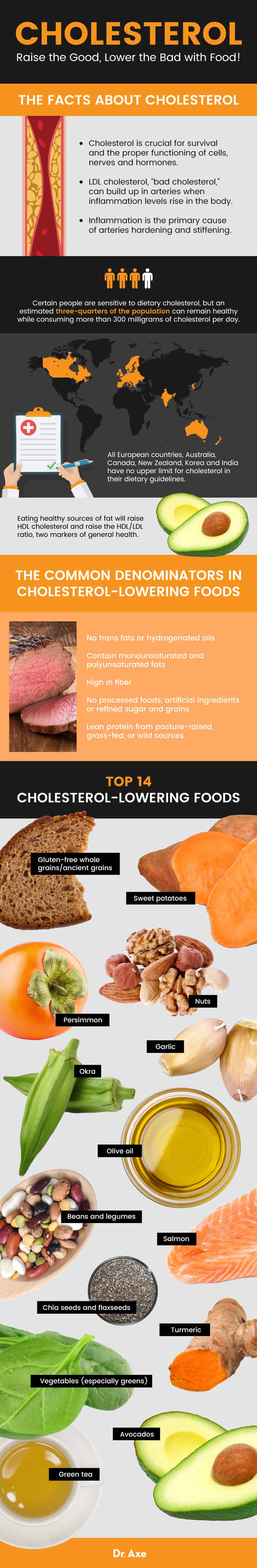 top 14foods that lower cholesterol - dr. axe