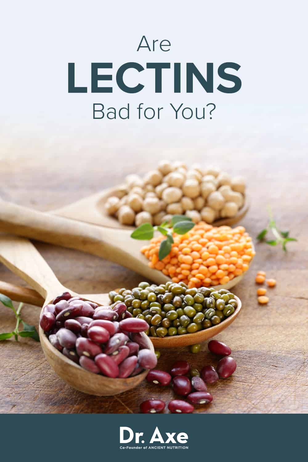 Are Lectins Bad for You? Pros and Cons of Lectin Foods Dr. Axe