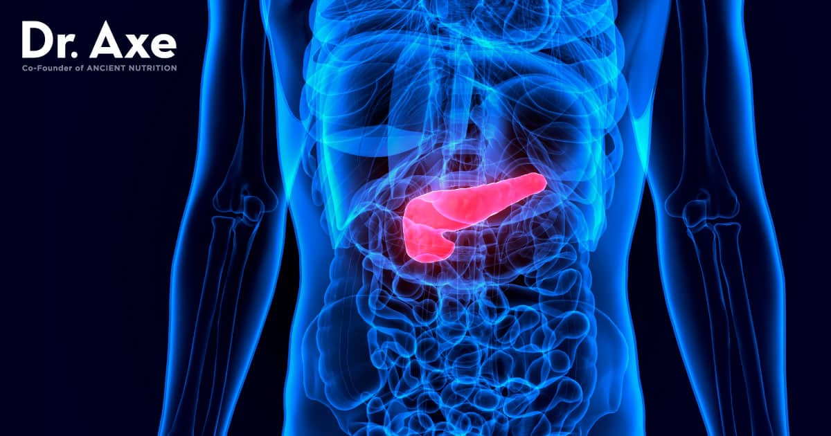 Pancreatic Enzymes Benefits, Sources and Supplements Dr. Axe