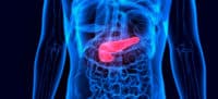 Pancreatic Enzymes Benefits, Sources and Supplements - Dr. Axe