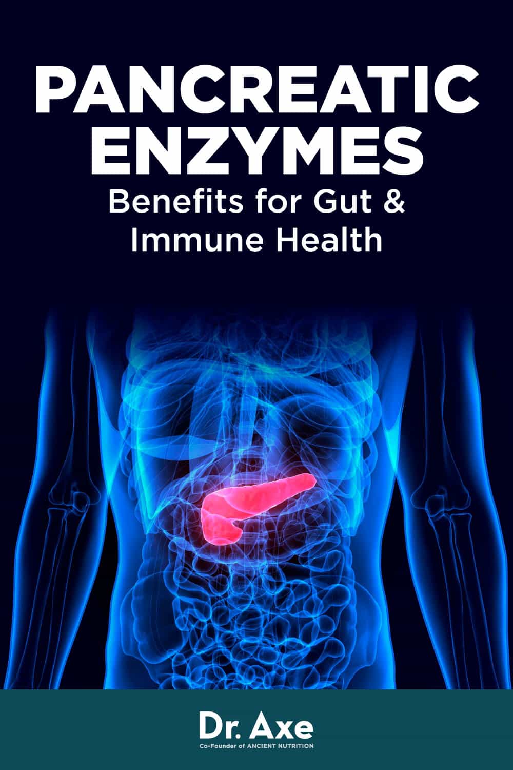 Pancreatic enzymes - Dr. Axe