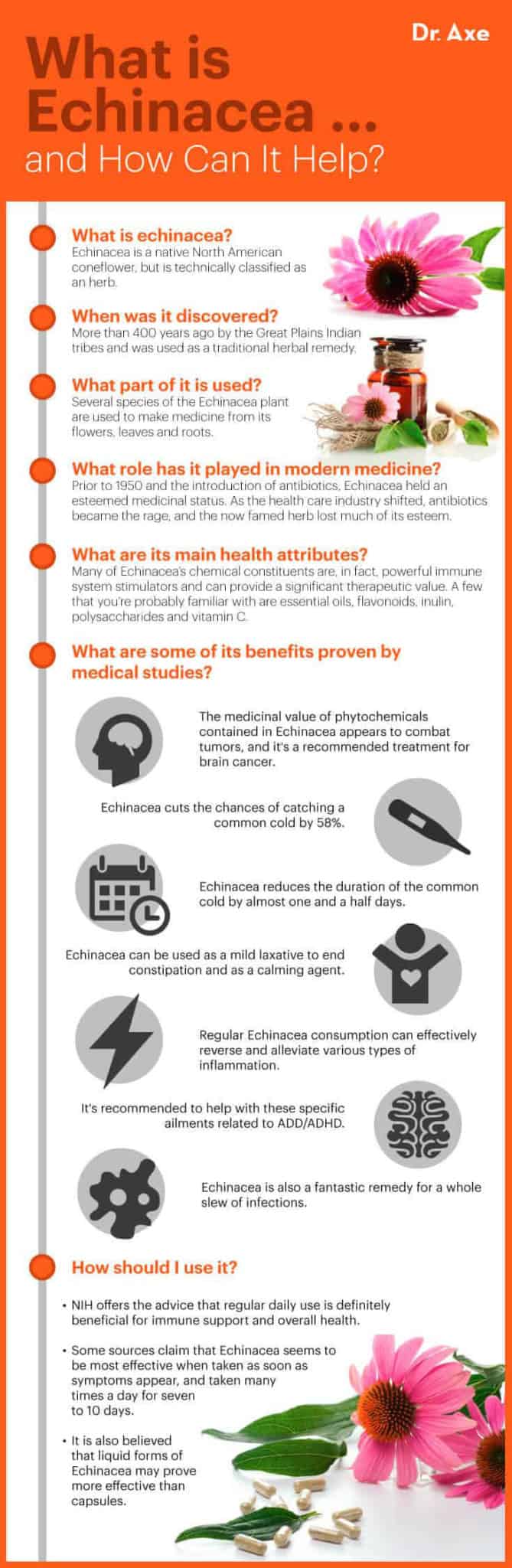 Echinacea Benefits, Uses, Dosage, Side Effects and More Dr. Axe