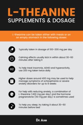 theanine benefits bodybuilding