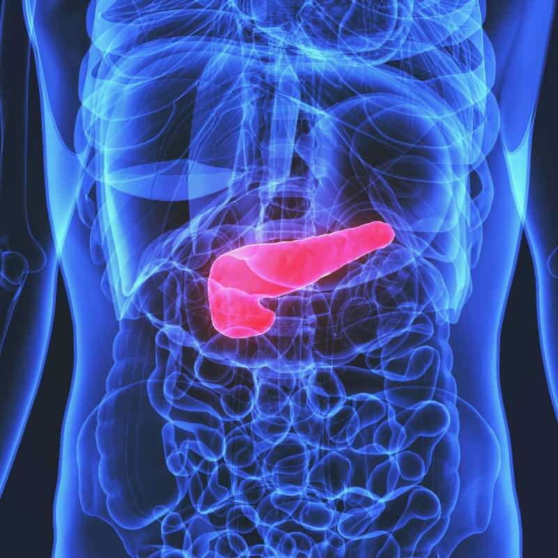 pancreatic cancer dr axe care antihelmintic este mai bun pentru oameni