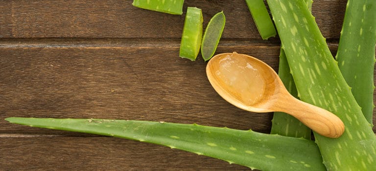 Aloe Vera Benefits, Uses, Dosage And Side Effects - Dr. Axe