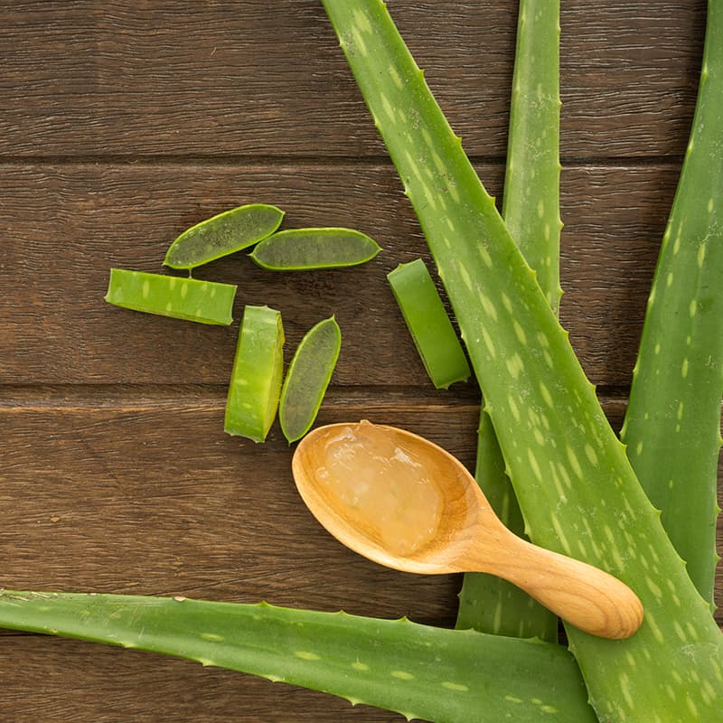 Aloe Vera Benefits, Uses, Dosage and Side Effects - Dr. Axe