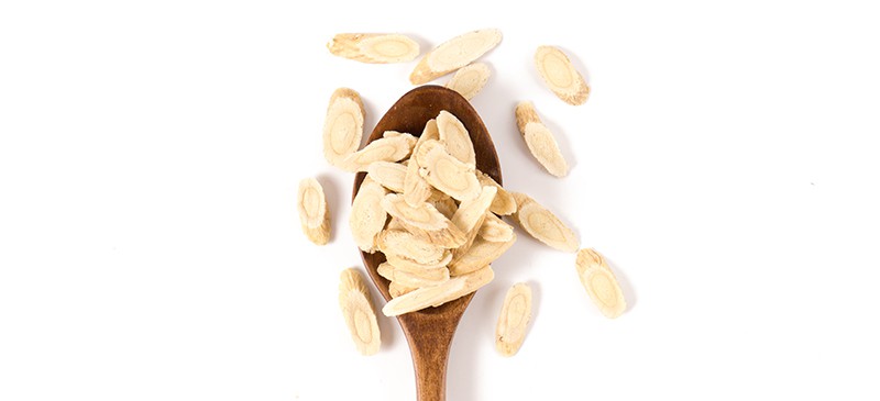 Benefit of astragalus root
