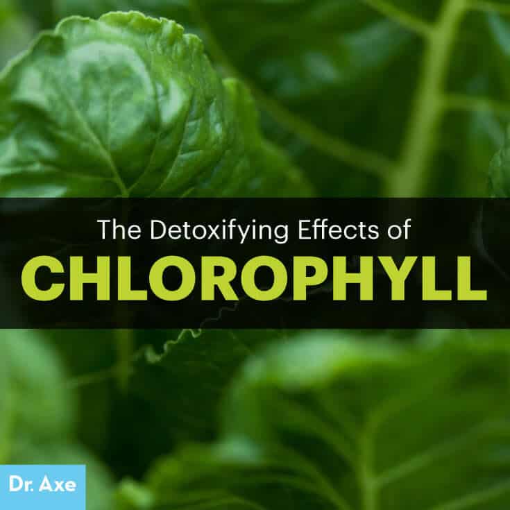 Chlorophyll benefits - Dr. Axe