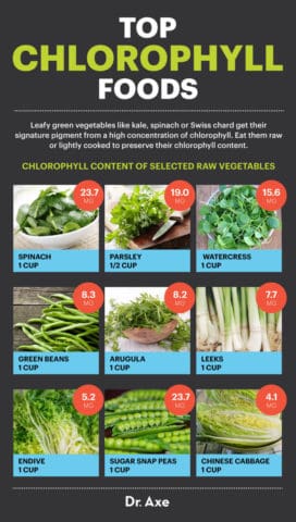 Chlorophyll Benefits, Uses, Risks and Side Effects - Dr. Axe