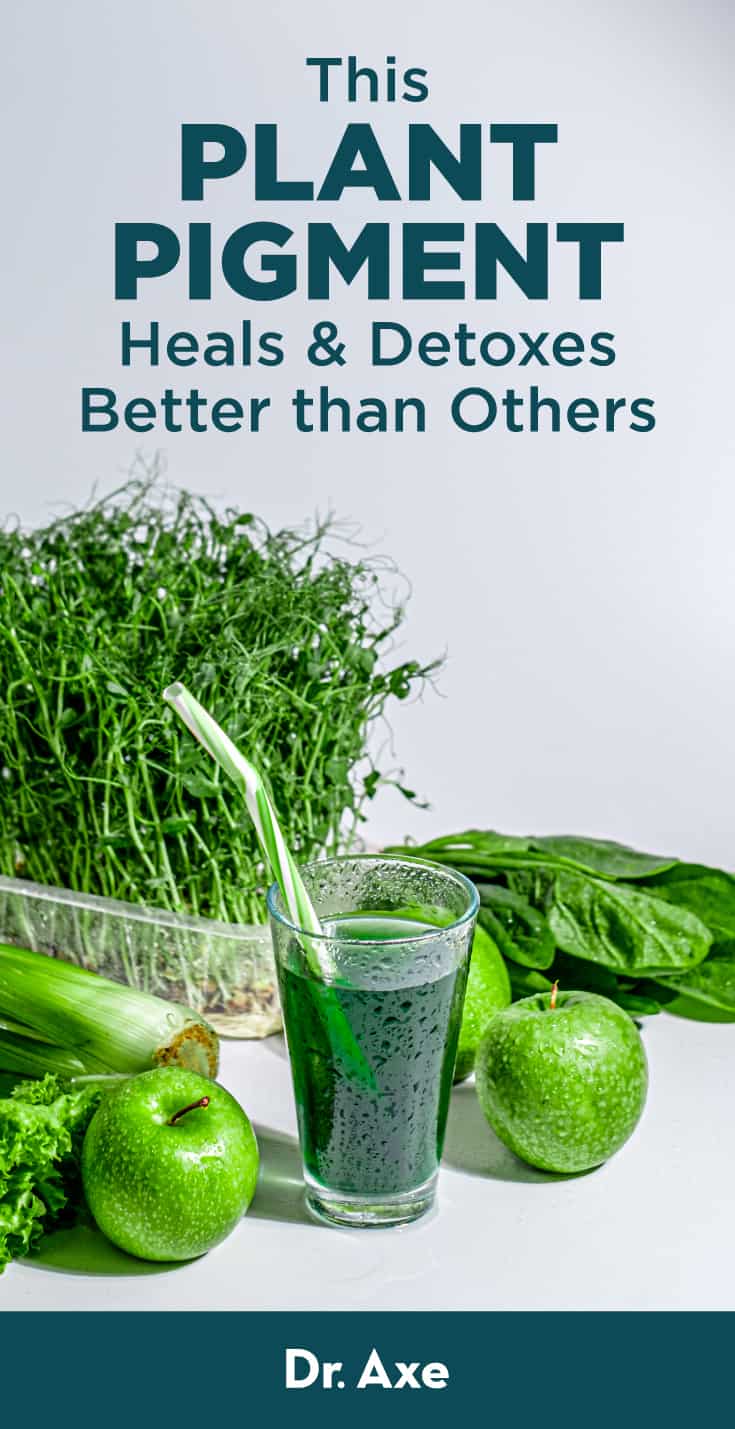 Chlorophyll Benefits, Uses, Risks and Side Effects Dr. Axe