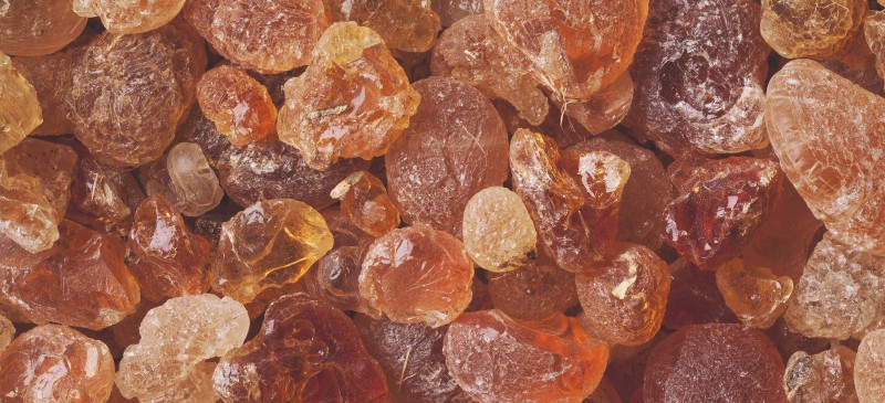 Gum arabic, what is it used for? Discover how this gum helps sugarcrafters