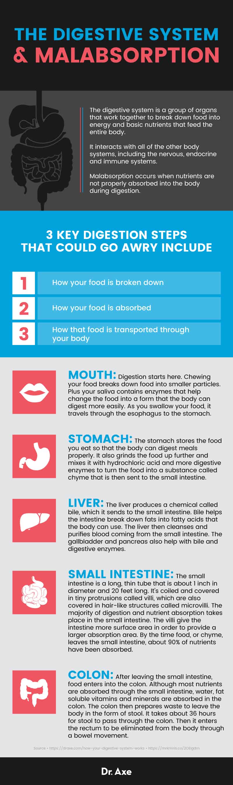 The digestive system & malabsorption syndrome - Dr. Axe