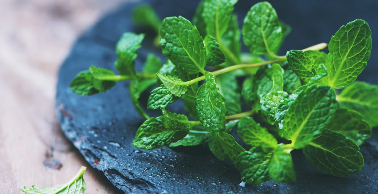 5 Health Benefits of Mint - Why Mint Leaves Are Good For You