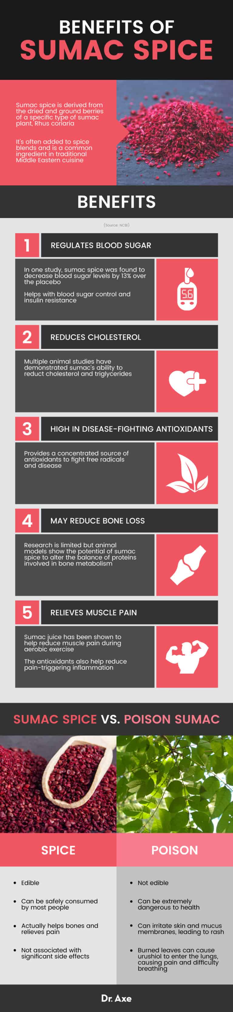 Sumac Spice Benefits, Uses, Recipes, Side Effects and More Dr. Axe