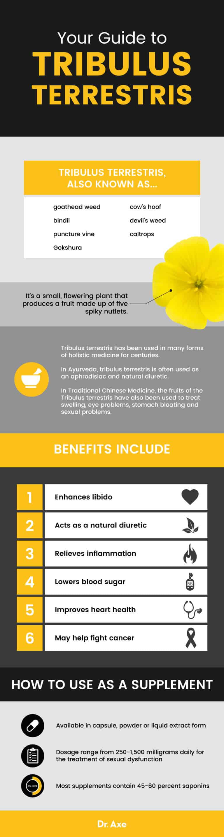 Tribulus Terrestris Supplement Benefits, Uses for Libido and More Dr. Axe