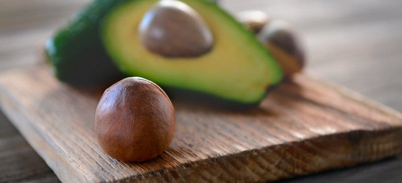 AvocadoSeedHeader.jpg