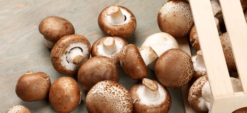 What Are Cremini Mushrooms? Benefits, Uses, Recipes - Dr. Axe