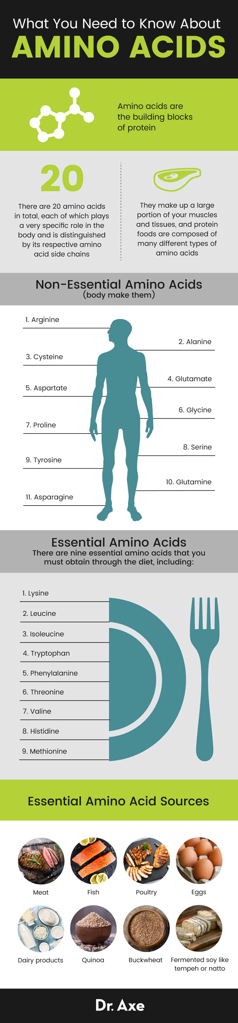 Amino Acids Benefits, Foods, Essential vs. NonEssential General