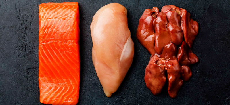 Meat and fish: benefits and properties