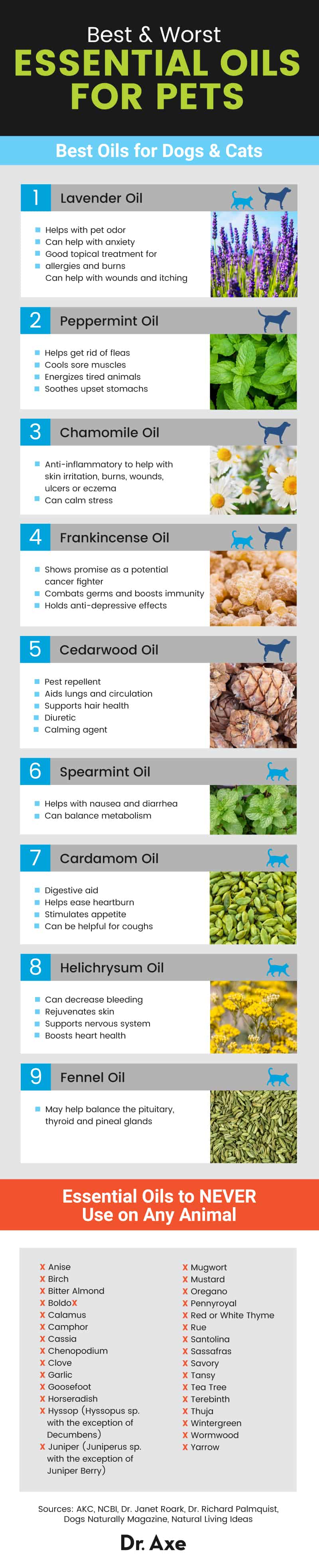 Essential oils for pets - Dr. Axe