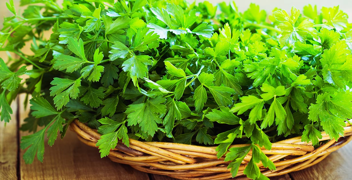 Parsley Meaning In Urdu