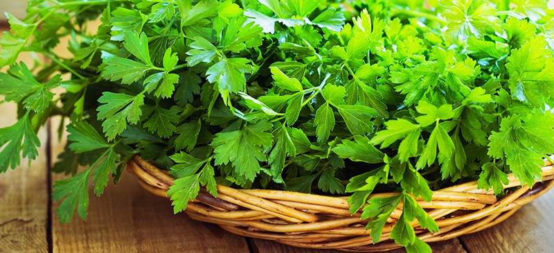 Parsley Benefits, Nutrition Facts, Uses and Recipes - Dr. Axe