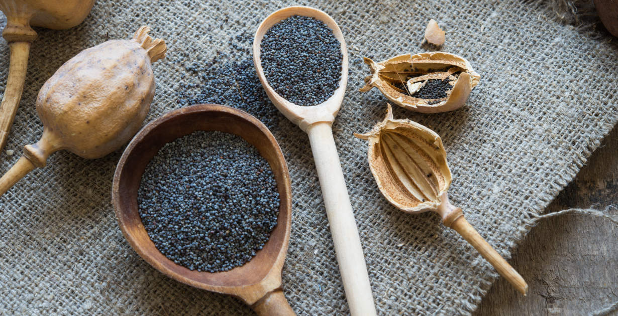 Poppy Seeds: Wholesome, Useful Meals or Potential Opiate?