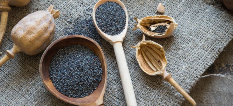 Poppy Seeds Benefits, Nutrition Facts and How to Use - Dr. Axe