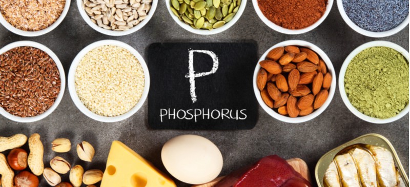 Foods high in phosphorus - Dr. Axe