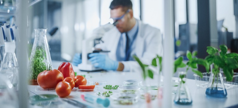 GMO foods - Dr. Axe