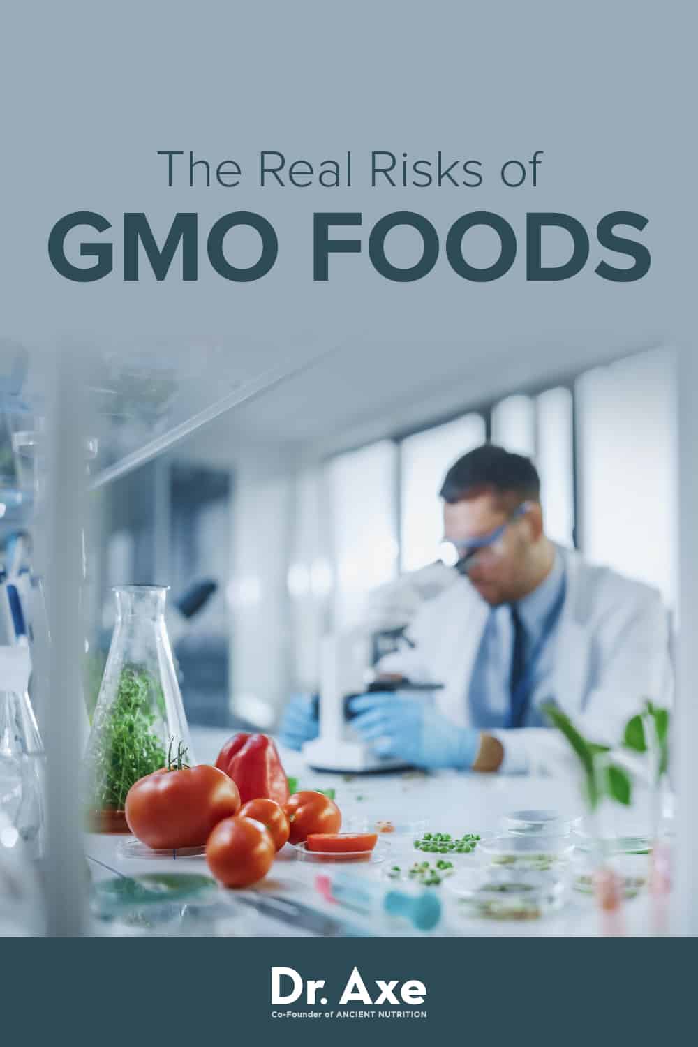 FG Eases Concerns Over GMO Food Consumption