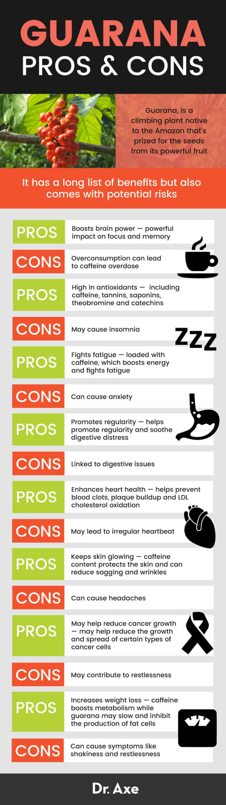 Guarana Benefits, Side Effects And Comparisons - Dr. Axe