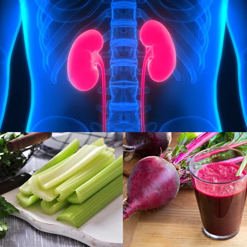 dr harvey's kidney diet reviews