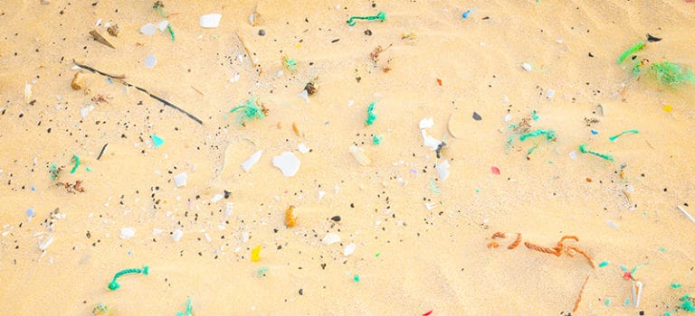 Microplastics Detected in Human Feces (Plus, 5 Dangers) - Dr. Axe