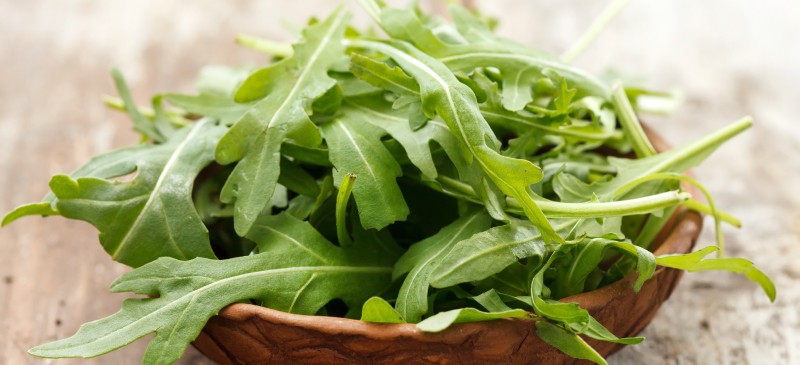 Arugula Salads And Sprouts, varieties, production, seasonality