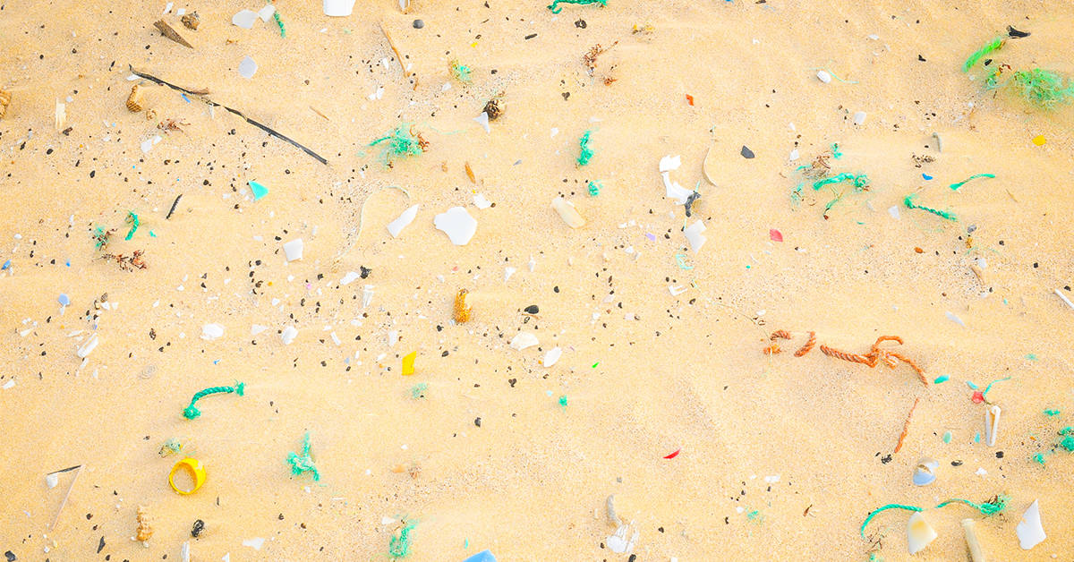 Microplastics Detected in Human Feces (Plus, 5 Dangers) Dr. Axe