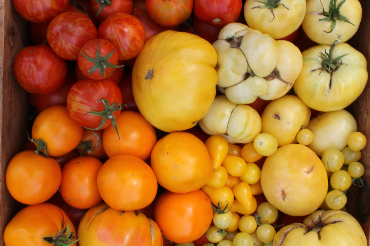 Healthy holiday gift guide tomatoes - Dr. Axe