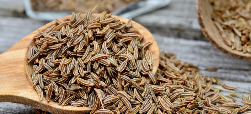 Caraway Seeds Support Weight Loss Blood Sugar More Dr Axe