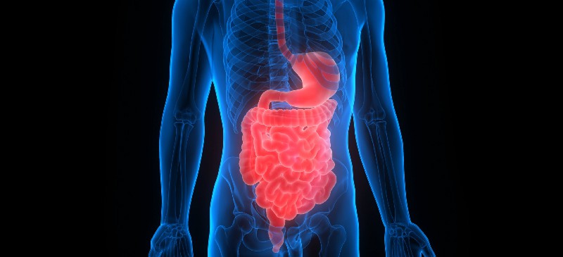 Digestive enzymes side effects - Dr. Axe