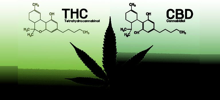 CBD Vs. THC: Similarities, Differences And Benefits - Dr. Axe