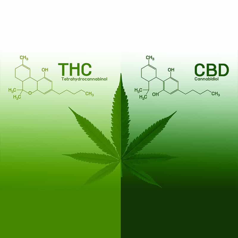 CBD vs. THC: Similarities, Differences and Benefits - Dr. Axe