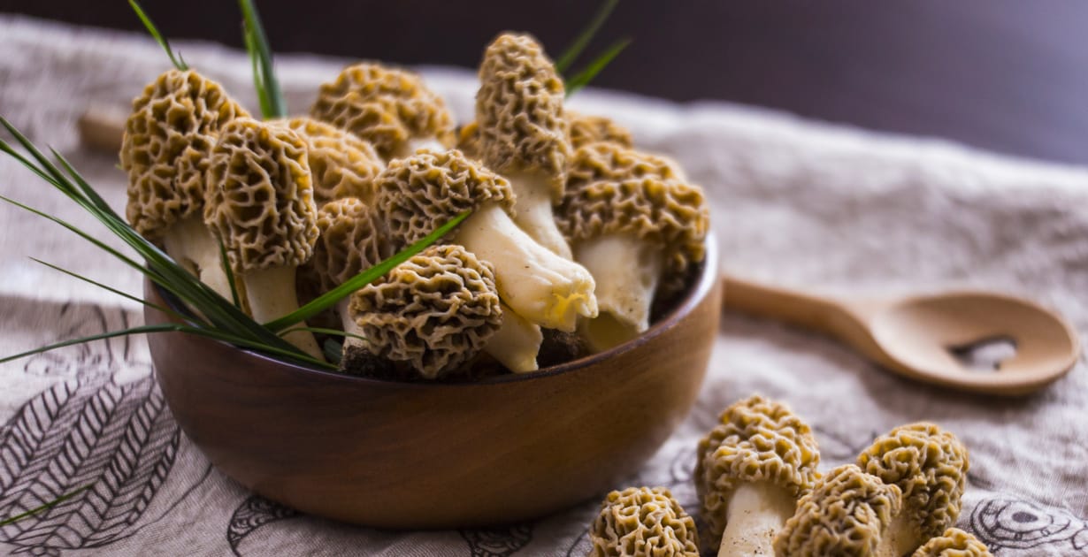 How to Dry Morel Mushrooms Without a Dehydrator