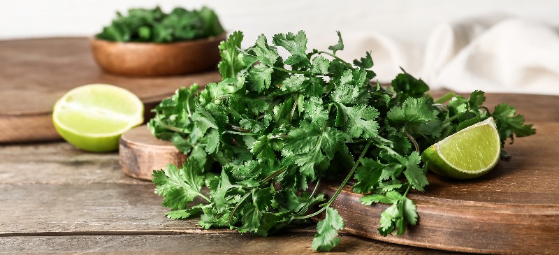 Cilantro benefits - Dr. Axe