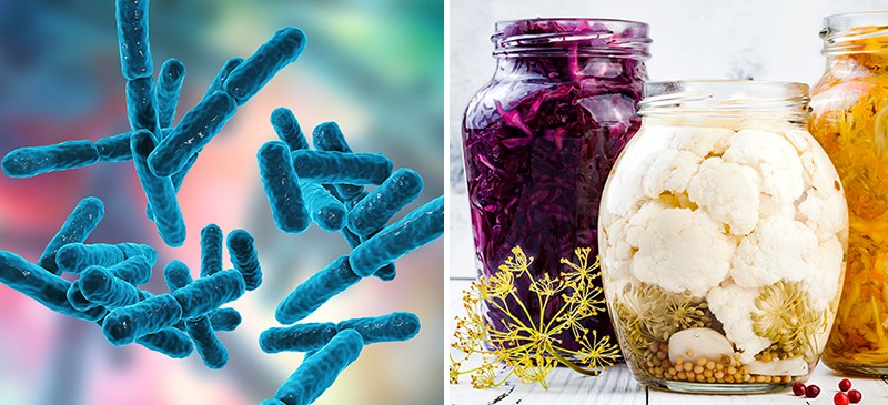 10 Health Benefits of Probiotics, for the Gut, Brain and More
